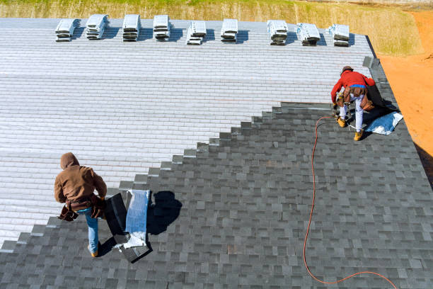 Best Roof Gutter Cleaning  in Garwood, NJ